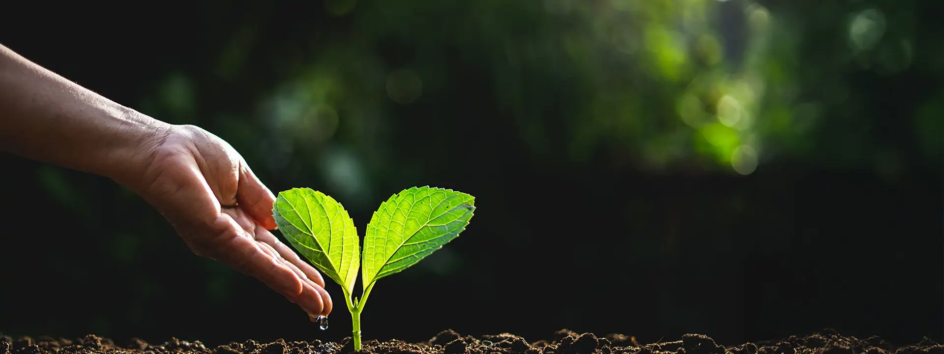  دعم الأسر المحتاجة  